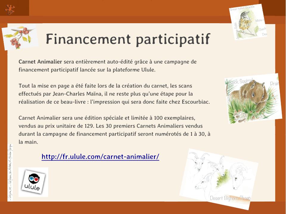 Financement Participatif